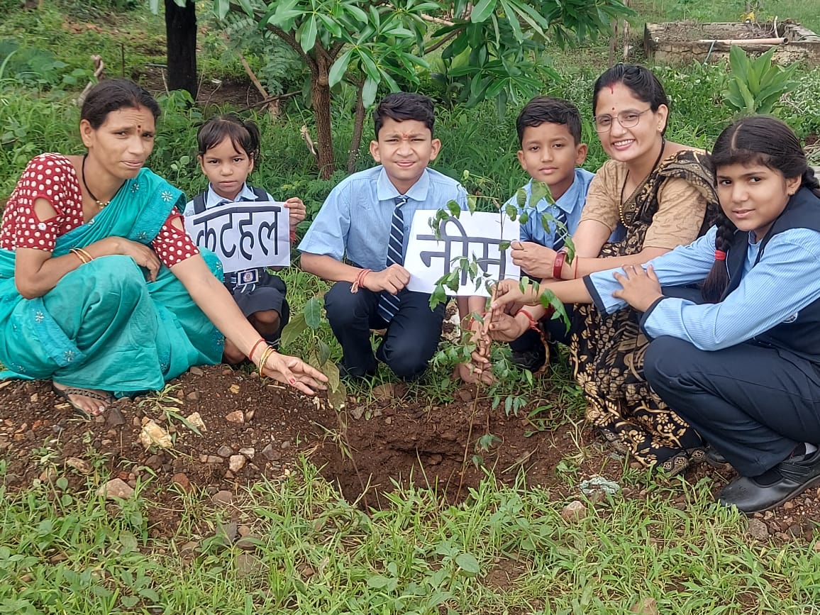 Tree Plantation